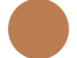 Alpina Wandfarbe Pure Farben Kupferorange 2,5 l