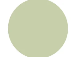 Alpina Innenfarben^Wandfarbe Pure Farben 2,5 l