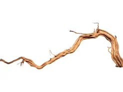 Aquriendekoration Curl-Holz S