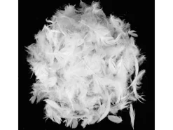 Arsvita Kissenfüllung 45 x 45 cm Federkissen