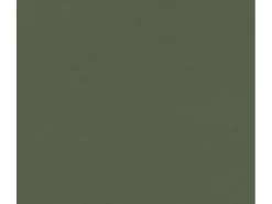 AS-Creation Dekorative Tapeten^Vliestapete Uni Strukturtapete Matt Strukturiert Grün