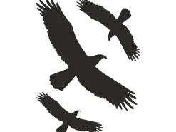 Wandtattoos^Aufkleber "Kontur Vogel" 30 cm x 20 cm PVC-Folie