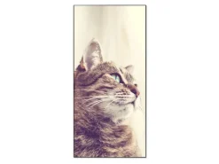 Banjado Magnettafel 37x78cm Magnetwand Schwarz Aus Metall Magnetpinnwand Pinnwand Inkl. 4 Magnete Motiv Holgerson