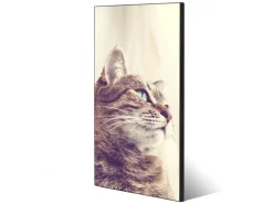 Banjado Magnettafel 37x78cm Magnetwand Schwarz Aus Metall Magnetpinnwand Pinnwand Inkl. 4 Magnete Motiv Holgerson