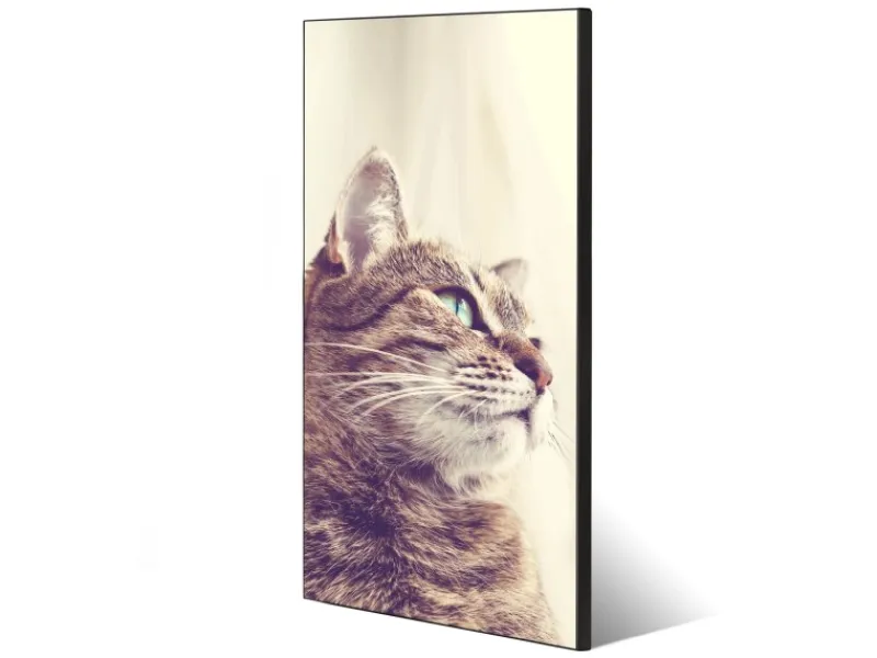 Banjado Magnettafel 37x78cm Magnetwand Schwarz Aus Metall Magnetpinnwand Pinnwand Inkl. 4 Magnete Motiv Holgerson