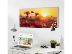 Banjado Magnettafel 78x37cm Magnetwand Weiß Aus Metall Magnetpinnwand Pinnwand Inkl. 4 Magnete Motiv Cosmea Feld