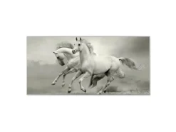 Banjado Magnettafel 78x37cm Magnetwand Silber Aus Metall Magnetpinnwand Pinnwand Inkl. 4 Magnete Motiv Wilde Pferde Sw