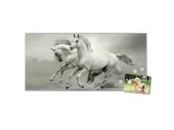 Banjado Magnettafel 78x37cm Magnetwand Silber Aus Metall Magnetpinnwand Pinnwand Inkl. 4 Magnete Motiv Wilde Pferde Sw