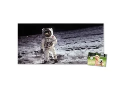 Banjado Magnettafel 78x37cm Magnetwand Silber Aus Metall Magnetpinnwand Pinnwand Inkl. 4 Magnete Motiv Astronaut