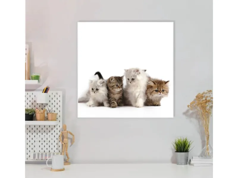 Banjado Magnettafel 50x50cm Magnetwand Weiß Aus Metall Magnetpinnwand Pinnwand Inkl. 4 Magnete Motiv Kaetzchen