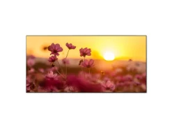 Banjado Pinnwände^Magnettafel 78x37cm Magnetwand Schwarz Aus Metall Magnetpinnwand Pinnwand Inkl. 4 Magnete Motiv Cosmea Feld