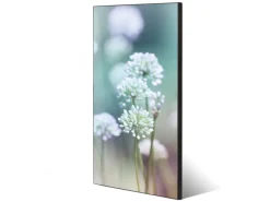 Banjado Magnettafel 37x78cm Magnetwand Schwarz Aus Metall Magnetpinnwand Pinnwand Inkl. 4 Magnete Motiv Lauchblüte