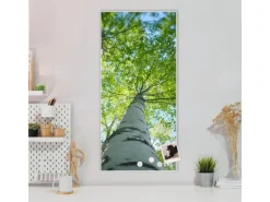 Banjado Wanddekoration|Pinnwände^Magnettafel 37x78cm Magnetwand Weiß Aus Metall Magnetpinnwand Pinnwand Inkl. 4 Magnete Motiv Zwischen Bäumen 5
