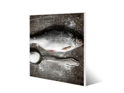 Banjado Wanddekoration|Pinnwände^Magnettafel 50x50cm Magnetwand Weiß Aus Metall Magnetpinnwand Pinnwand Inkl. 4 Magnete Motiv Fisch Und Salz