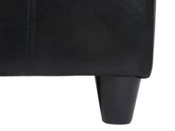 BERLINLODGE Aufbewahrung^Aufbewahrungs-Truhe Sitzbank Lars 45x112x45cm Leder & Kunstleder