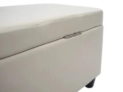 BERLINLODGE Aufbewahrungs-Truhe Lars 45x114x45cm Kunstleder