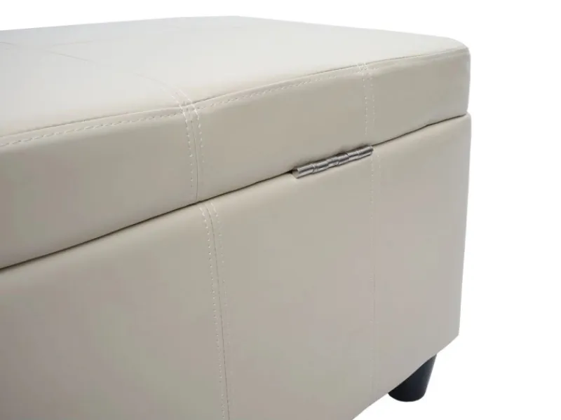 BERLINLODGE Aufbewahrungs-Truhe Lars 45x114x45cm Kunstleder