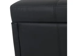 BERLINLODGE Aufbewahrung^Aufbewahrungs-Truhe Lars 45x114x45cm Kunstleder Matt