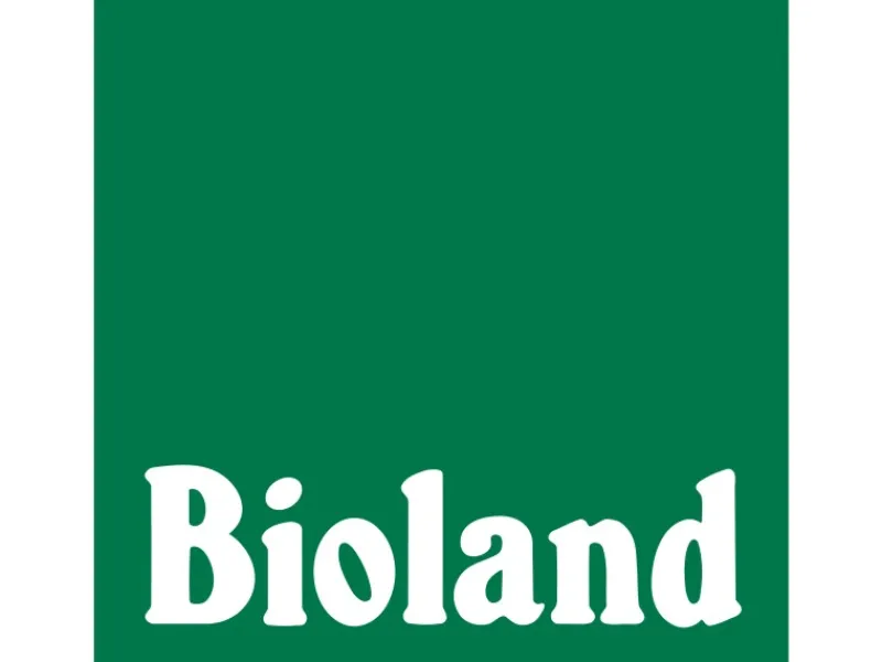 Blu Bio-Petersilie Glatt Topf-Ø ca. 12 cm Petroselinum