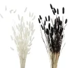 Boltze Kunstpflanzen|Vasen^Deko-Zweig 2-fach Sortiert Weiß-Schwarz