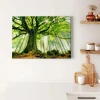 Bricoflor Bild Mit Wald Und Sonnenstrahlen Baum Wandbild In Grün Leinwand Bild Mit Baumkrone Ideal Für Badezimmer Und Schlafzimmer