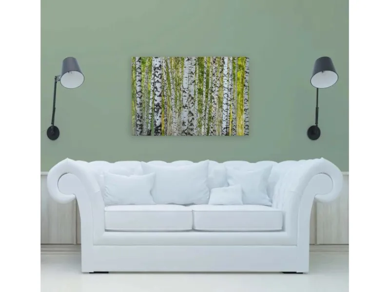 Bricoflor Wanddekoration^Birkenwald Leinwand Bild Grün Weiß Wandbild Mit Wald Motiv Für Wohnzimmer Und Schlafzimmer Birken Leinwandbild 90X60 Cm