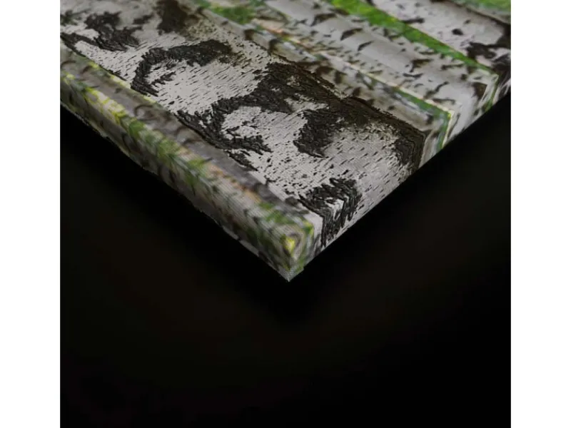 Bricoflor Wanddekoration^Birkenwald Leinwand Bild Grün Weiß Wandbild Mit Wald Motiv Für Wohnzimmer Und Schlafzimmer Birken Leinwandbild 90X60 Cm