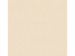 Bricoflor Creme Beige Tapete Einfarbig Vinyl Vliestapete mit Struktur Ideal für Badezimmer und Schlafzimmer Helle Uni Tapete fürs Bad