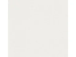 Bricoflor Überstreichbare Tapeten^Deckentapete aus Vlies Ideal für Wohnzimmer und Schlafzimmer überstreichbare Tapete für Decke mit Dezenter Struktur