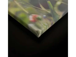 Bricoflor Wanddekoration^Leinwandbild Mit Mohnblumen In Sonne Wandbild Mit Blumenwiese Auf Leinwand Im Landhausstil Für Küche In 90 X 60 Cm