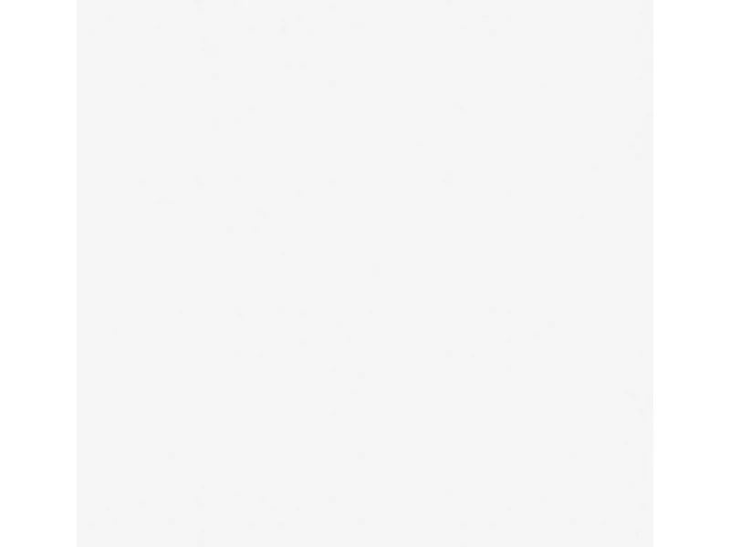 Bricoflor Dekorative Tapeten^Renoviervlies 150 G als untergrund vorbereitung zum Tapezieren Malervlies 25 M Länge Ideal als untertapete für Vliestapete