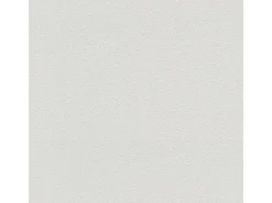Bricoflor Vlies Strukturtapete Hell Einfarbige Vliestapete Schlicht zum überstreichen für Büro und Flur Uni Tapete Dezent für Diele überstreichbar