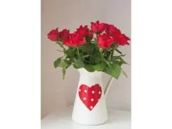 d-c-fix Klebefolie Peterson Rot 45 cm x 200 cm