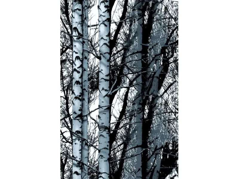 d-c-fix Klebefolien^Klebefolie Wood 150 cm x 45 cm