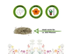 Deine Gartenwelt Vasen^Gänseblümchen Einfach Weiß Samen