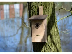 Dobar Vogelbedarf^Beobachtungsnistkasten mit drei Lochgrößen Braun