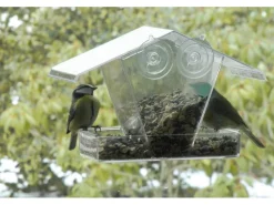 Dobar Fenster-Vogelfutterhaus