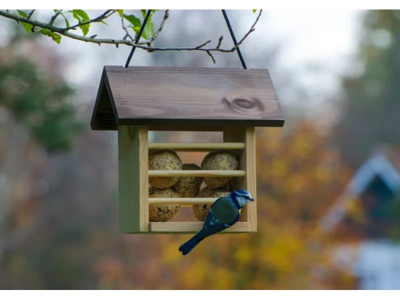 Dobar Meisenknödelhalter Kieferholz Futterstation für Wildvögel 22 x 14 x 21 cm