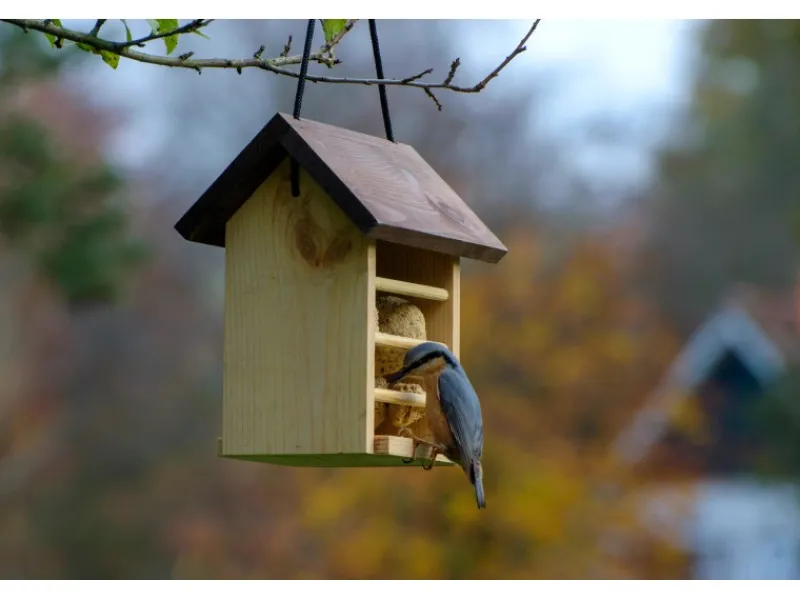 Dobar Meisenknödelhalter Kieferholz Futterstation für Wildvögel 22 x 14 x 21 cm