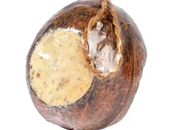 Dobar Vogelbedarf^Vogelfutter-Mix 4 x gefüllte Kokosnuss und 2 x Riesenzapfen mit Fettfutter