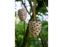 Dobar Vogelbedarf^Vogelfutter-Mix 4 x Riesenzapfen, 4 x Meisenzapfen mit Fettfutter-Füllung