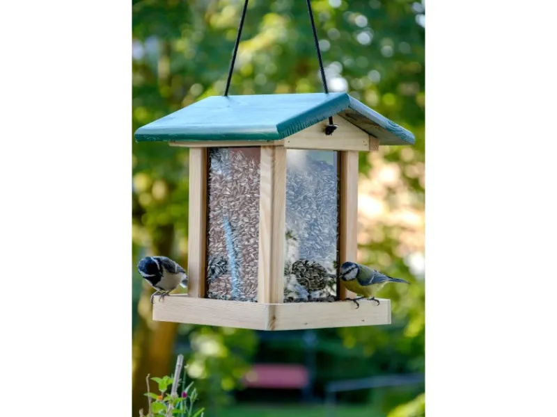 Dobar Vogelfutterstation mit Acrylglas-Futtersilo 22 cm x 25 cm x 28 cm Grün