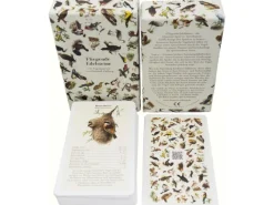 Dobar Vogelquartett Fliegende 9,3 cm x 13,4 cm x 3,5 cm Edelstein