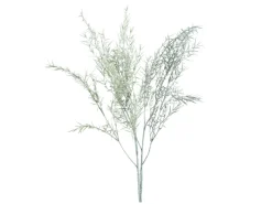 DPI Asparagus-Zweig 85 cm Grün 2-Fach Sortiert