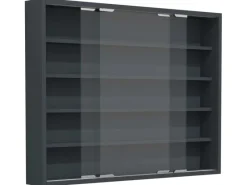 Vitrinen^ebuy24 AgisaL Glasvitrinen Wandhängend 2 Schiebetüren Anthrazit