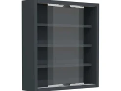 ebuy24 AgisaS Glasvitrinen Wandhängend 2 Schiebetüren Anthrazit