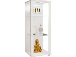 Vitrinen^ebuy24 GlasolM Vitrinenschrank 3 Ablagen Weiß
