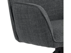 ebuy24 Glenda Esszimmerstuhl Mit Armlehnen Stoff Grau