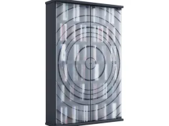 ebuy24 TilanoL Vitrinenschrank CD DVD 6 Ablagen 2 Türen Anthrazit