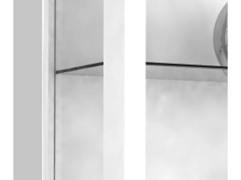 ebuy24 Udina Vitrinenschrank Wandhängend mit 2 Glastüren 2 Glasböden Weiß